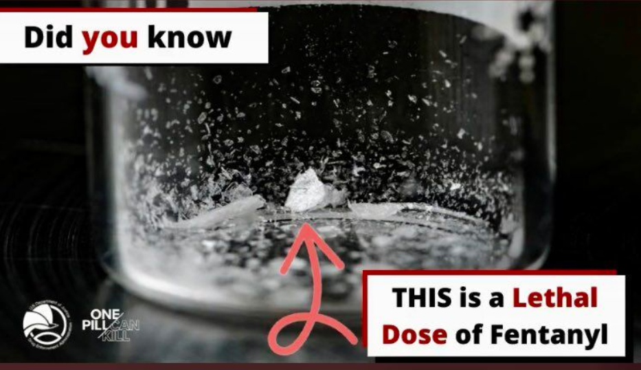 IDEC INTERNATIONAL DRUG ENFORCEMENT CENTRE